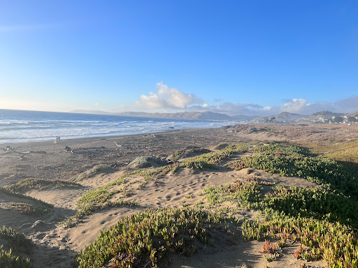 Morro Bay Dog Beach - Thumbnail