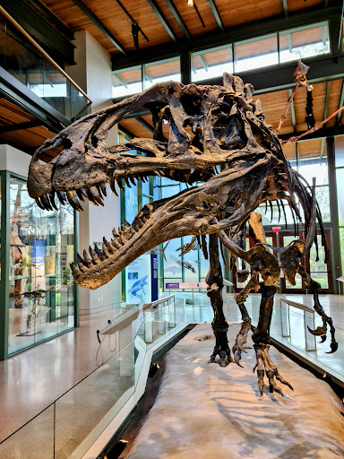 Witte Museum - Visual
