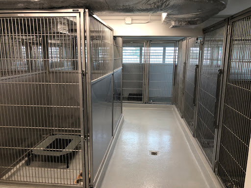 Primevet Veterinary Hospital - Thumbnail