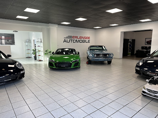 Erlensee Automobile - Thumbnail