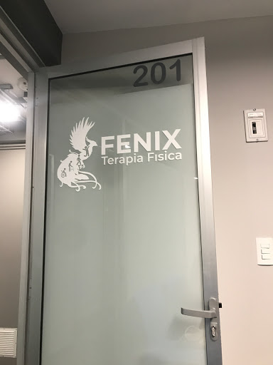 Clínica de Rehabilitación Física en Polanco- FÉNIX Terapia Física - Thumbnail