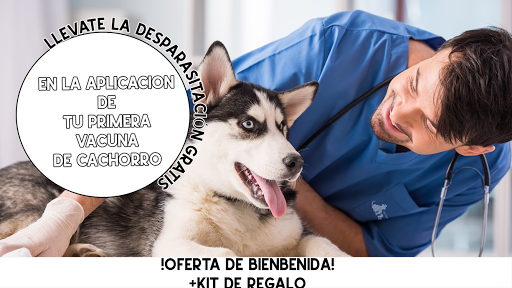 Hospital Veterinario San Juan