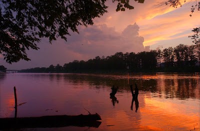 Photos of Tuscaloosa News