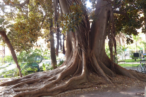 Giardini Foce Sanremo