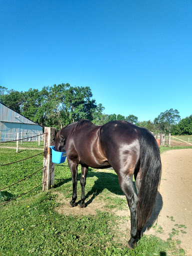 SP Stable LLC - Visual