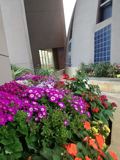 Photos of Wing Kwong Pentecostal Holiness Church