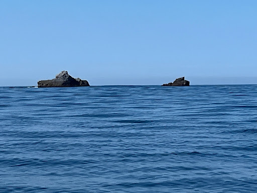 Torecillas - Thumbnail