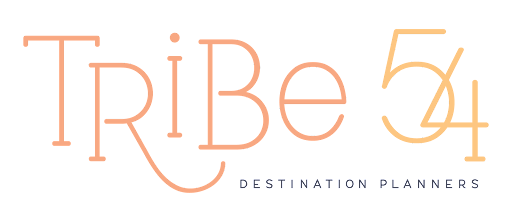 Tribe 54 - Visual