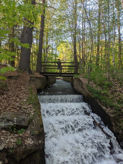 USFS Silver Lake Campground