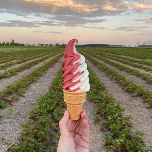 Au Silo Glacé - Thumbnail