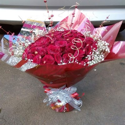 Photos of Lilies & Flowers
