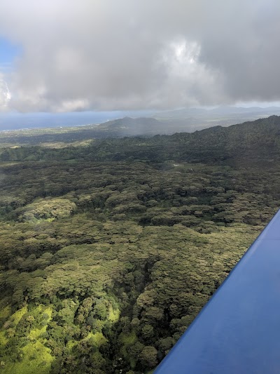 Moloaa Forest Reserve