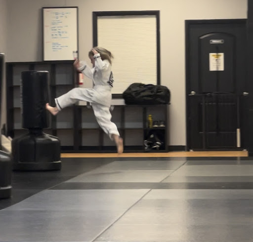 Royce Gracie Academy of Macomb- Jiu Jitsu and Self Defense - Thumbnail