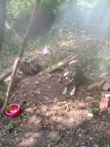 West Virginia Civil War Trails: Attacking Fairmont - Thumbnail