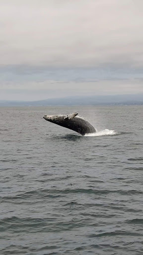 Moss Landing Marine Labs - Thumbnail