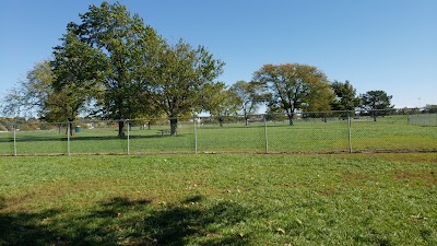 Dog Park