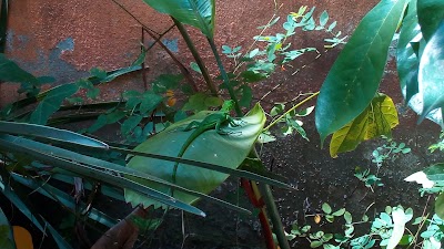 Photos of Palmera Real