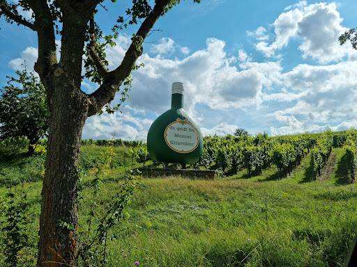 Bocksbeutel - Visual