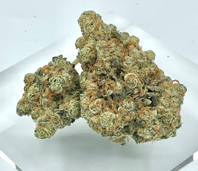 Photo of Your Green Thumb Caregiver & Wild Card Marijuana -Dispensary