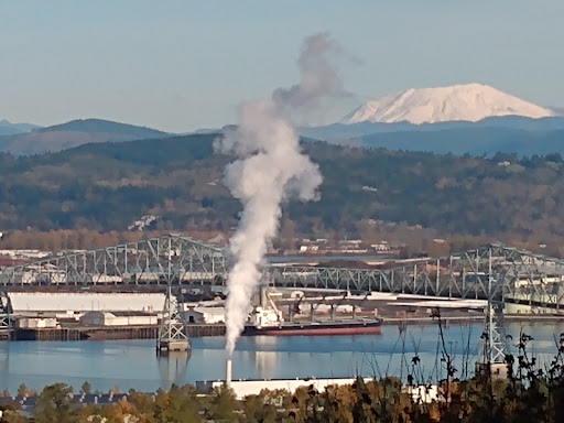 Rainier View Point - Visual