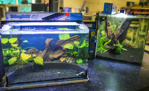 Exotic Aquarium - Thumbnail