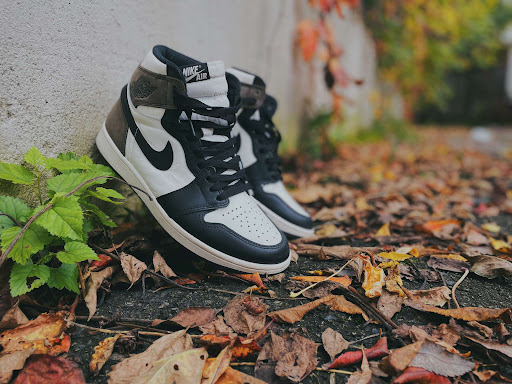 SoleHaven - Visual