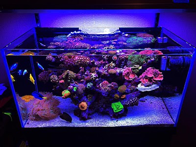 Photos of Parallel Aqua Studio