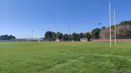 campo-de-rugby-de-cesped-n-2