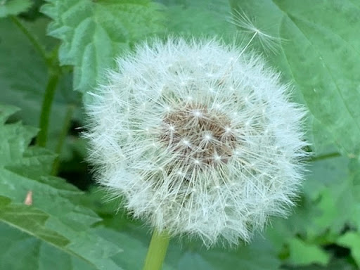 Parc Andersen - Thumbnail