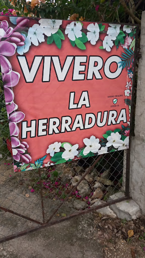Vivero la Herradura - Thumbnail