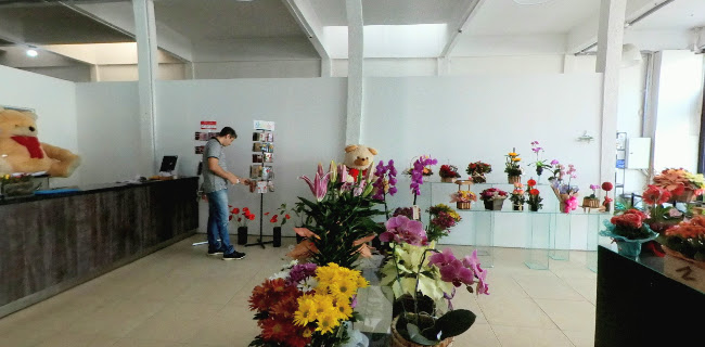 Floricultura Só Rosas