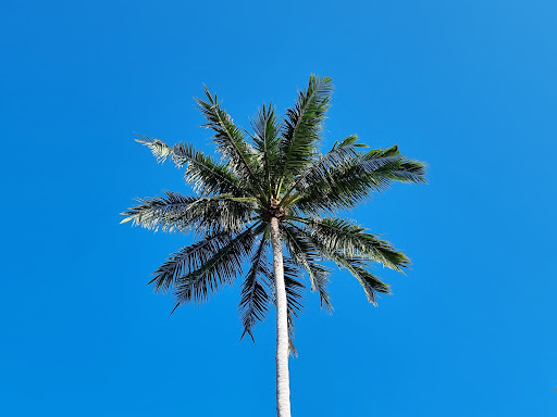 Sunshine Holidays Samui