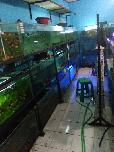 Photos of Rio Aquarium