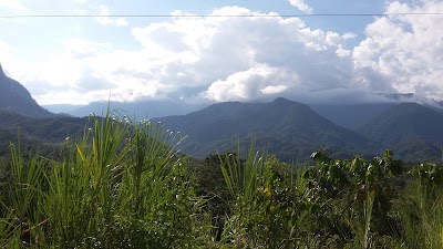 Photos of Granja Porcina