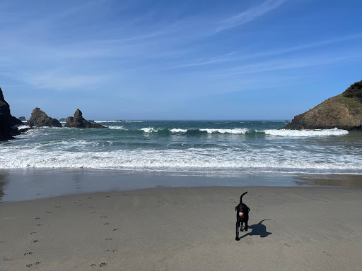 Jug Handle Beach - Thumbnail