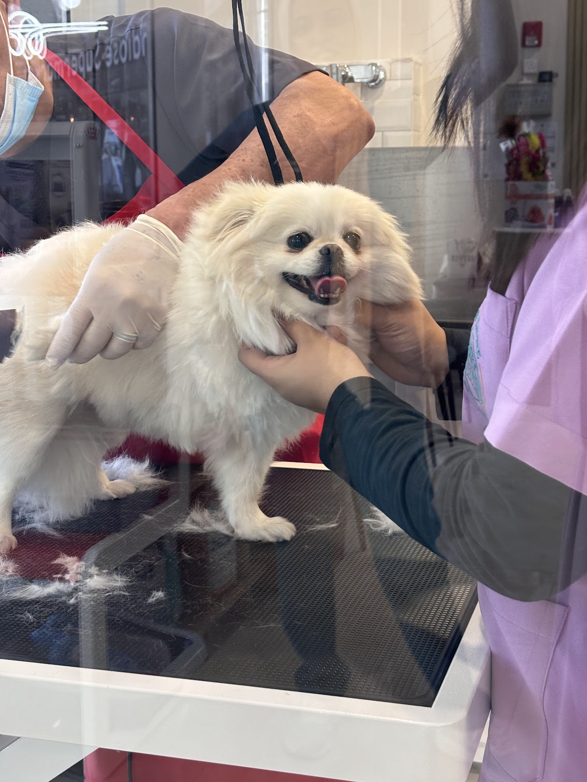 Vet Zone Veterinary Clinic - صورة 2