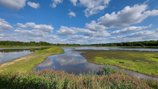 RSPB Dearne Valley - Old Moor - Thumbnail