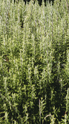 Photo n°2 de ART ET FENETRES - Art et Habitat Nontron à Nontron (Magasin de fenêtres en PVC)