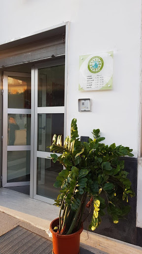 PACIFIC LANGUAGE INSTITUTE - Thumbnail