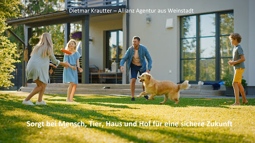 Allianz Versicherung Dietmar Krautter in Weinstadt