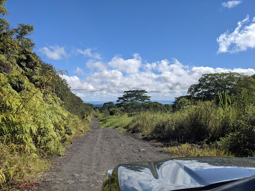 Waiakea Forest Reserve - Thumbnail