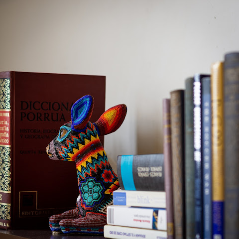 Villa Orquidea by null