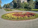 Фотография Аллея Героев, Волгоград, Россия