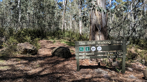Bluff Walking Track - Thumbnail