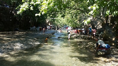 Çınaraltı Piknik Alanı