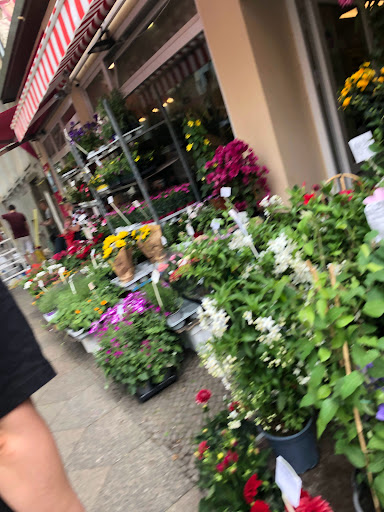 Blumen-Dörrfeld - Thumbnail