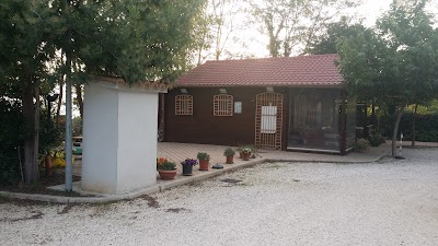Photos of Le Mimose