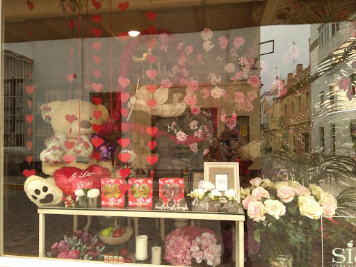 Decorflor - Visual