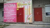 Магазин Инженер Череповец Гоголя Официальный Сайт