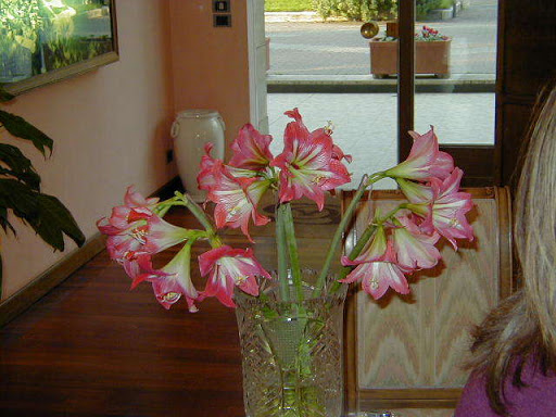 Agenzia Immobiliare Saletta Oliva - Thumbnail
